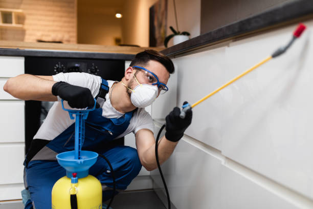Best Pest Control for Businesses  in Bradner, OH
