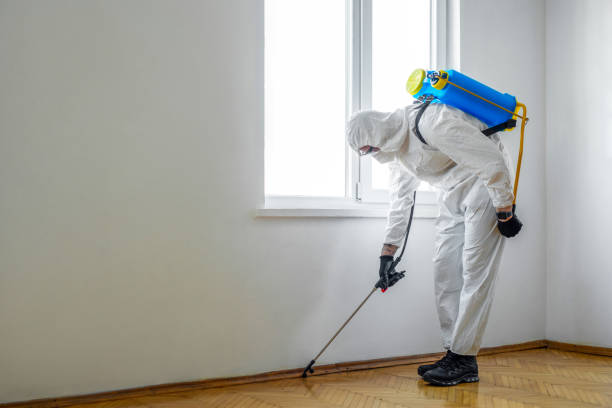Best Wasp Removal Services  in Bradner, OH