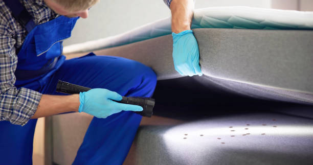 Best Residential Pest Control  in Bradner, OH