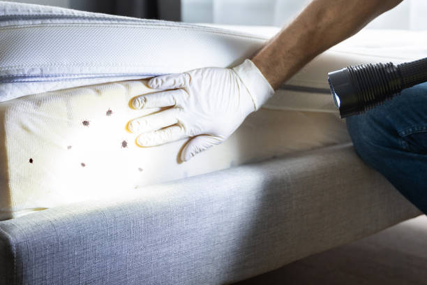 Best Wildlife Control Services  in Bradner, OH