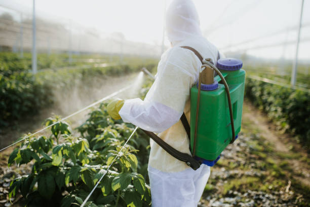 Best Pest Control for Restaurants  in Bradner, OH